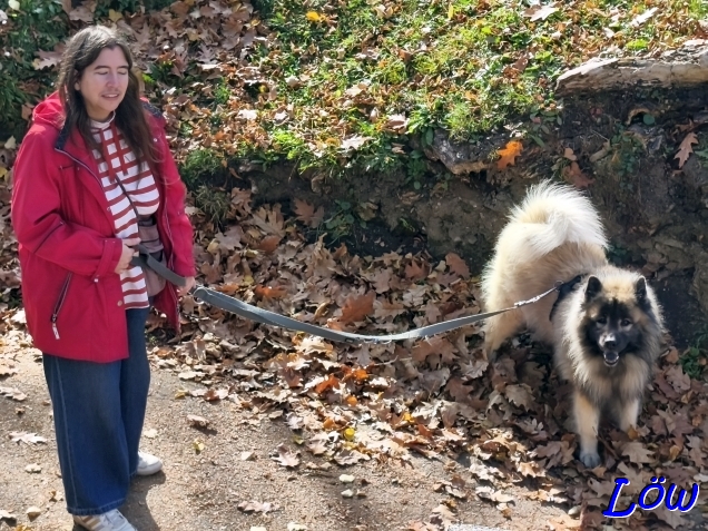 1.11.2025 - Schlossbergterrasse